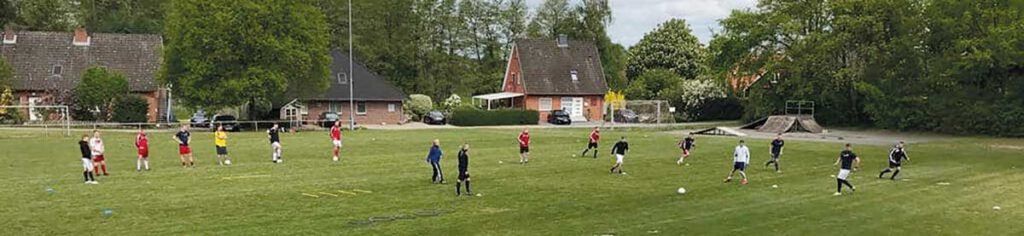 Training FSV