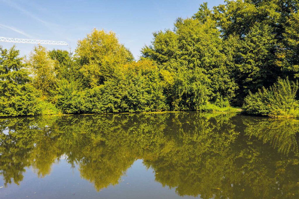 Teich in Nottensdorf