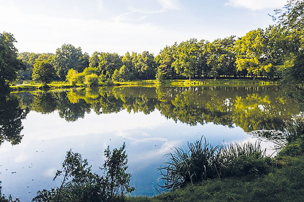 Nindorfer Teiche, Gewässer des AV Horneburg
