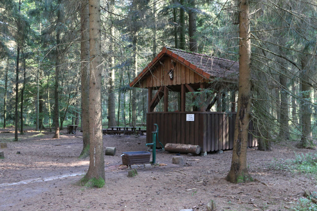 Kinderwald im Rüstjer Forst