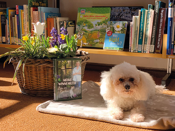 Büchereihündin Maudis Buchtipp zum Frühling: Zum Abschalten, Schmunzeln und den Kopf freizukriegen. Maike Winnemuth: Bin im Garten – Ein Jahr wachsen und wachsen lassen