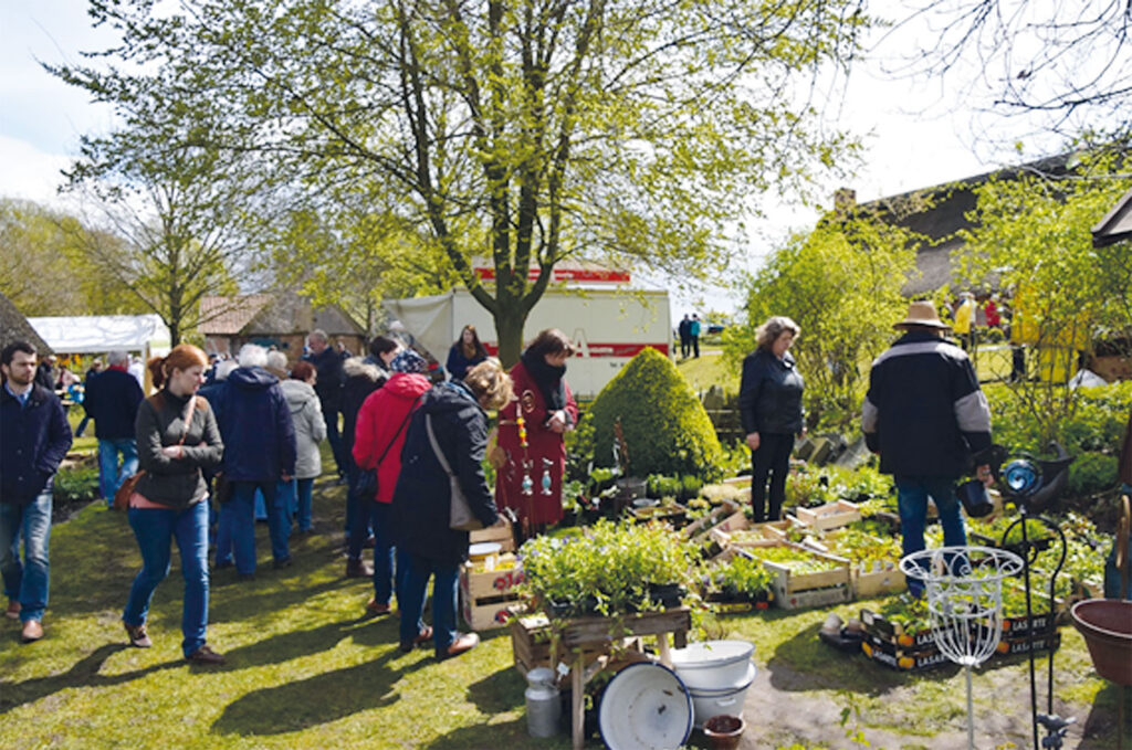 Pflanzen- und Handwerkermarkt