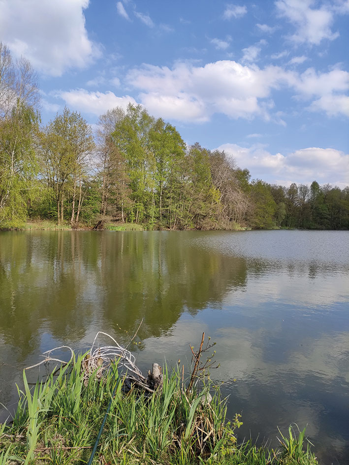 Teich Moisburg