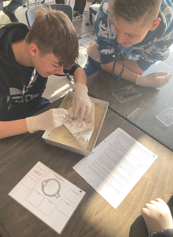 Biologie hautnah – Klasse 8d im Sezierlabor