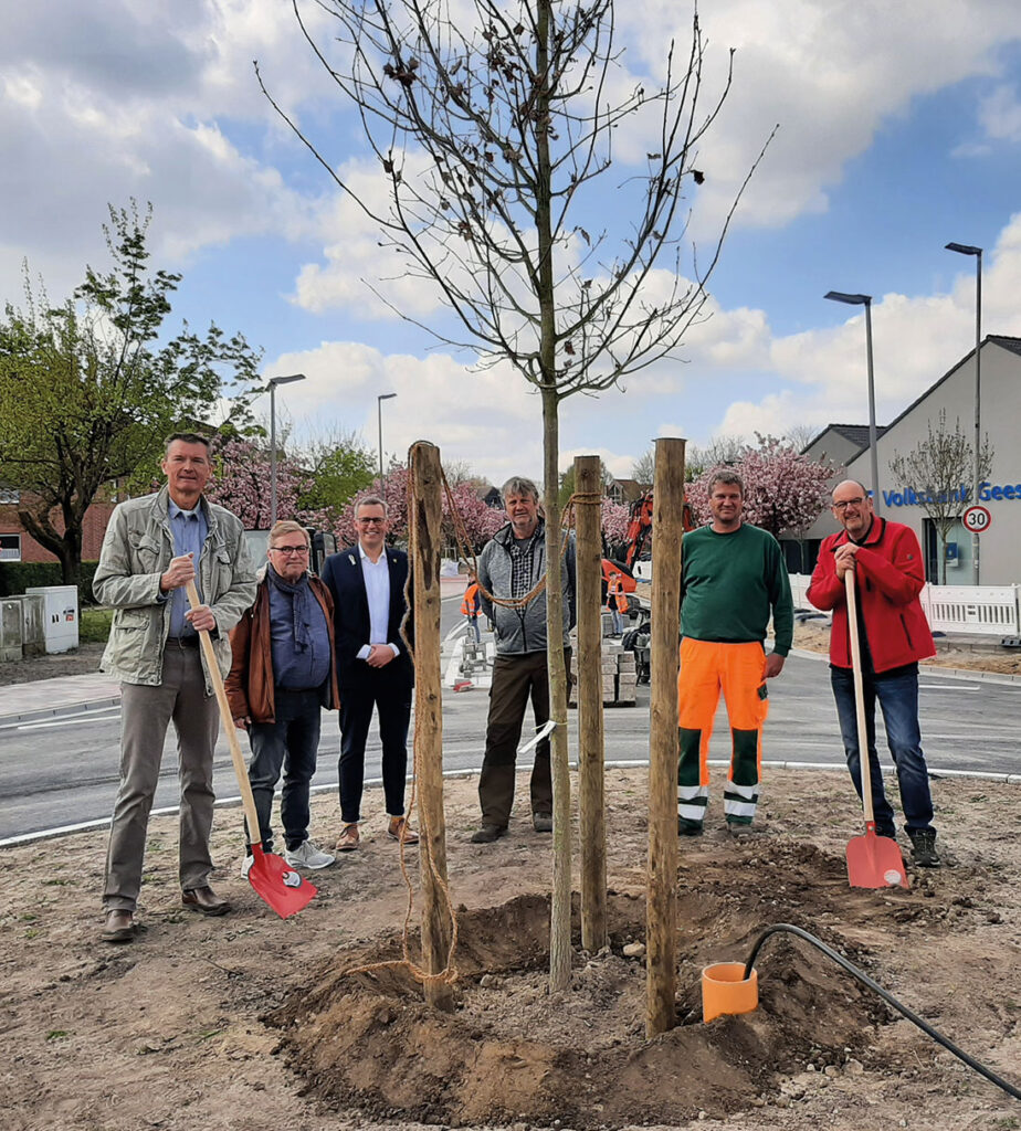 Neuer Kreisel Auedamm bepflanzt