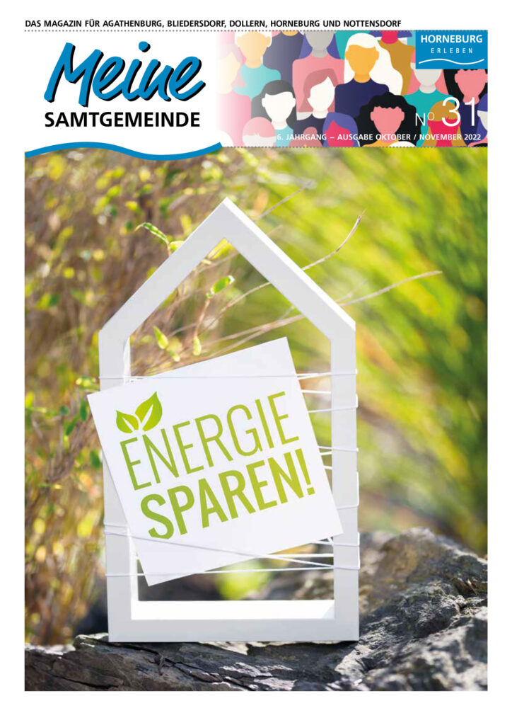 Meine Samtgemeinde Ausgabe 31