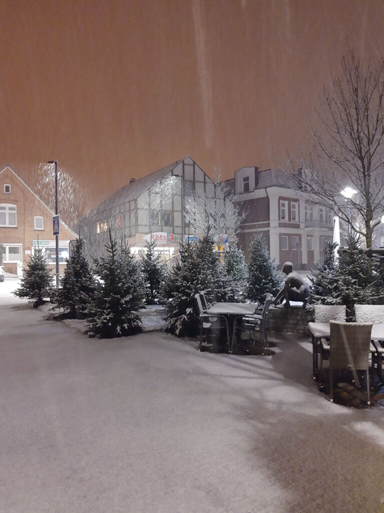 Winterwald im Zentrum von Horneburg